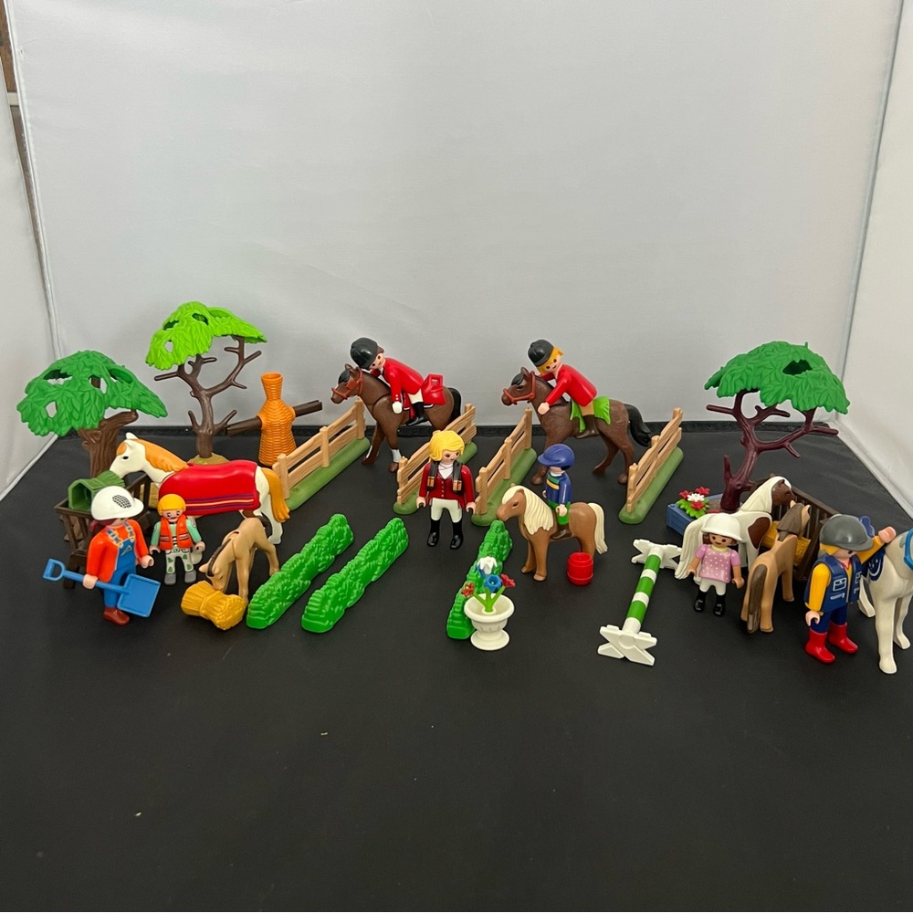 Playmobil Horse Pony Training Equestrian lot